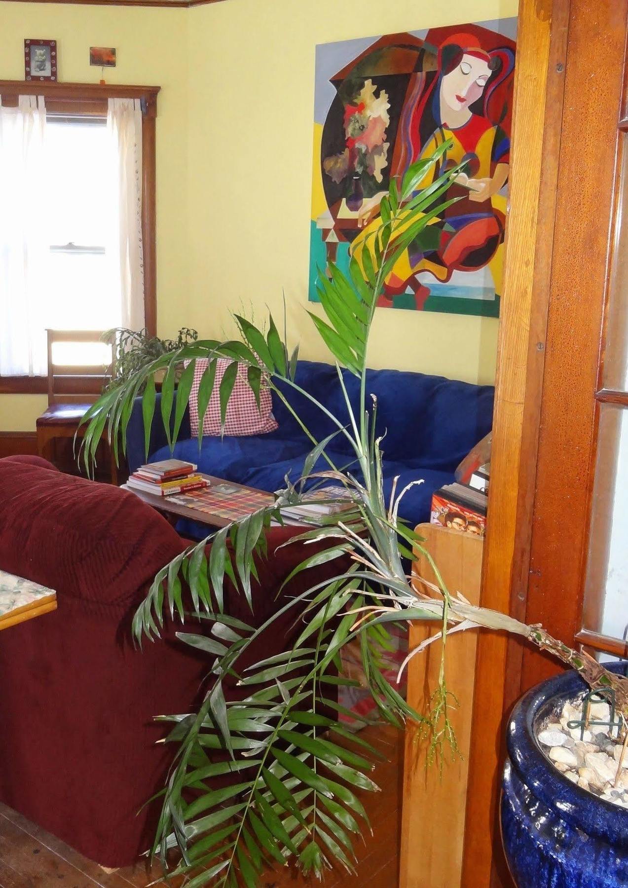 The One Cat Bed & Breakfast Brattleboro Dış mekan fotoğraf